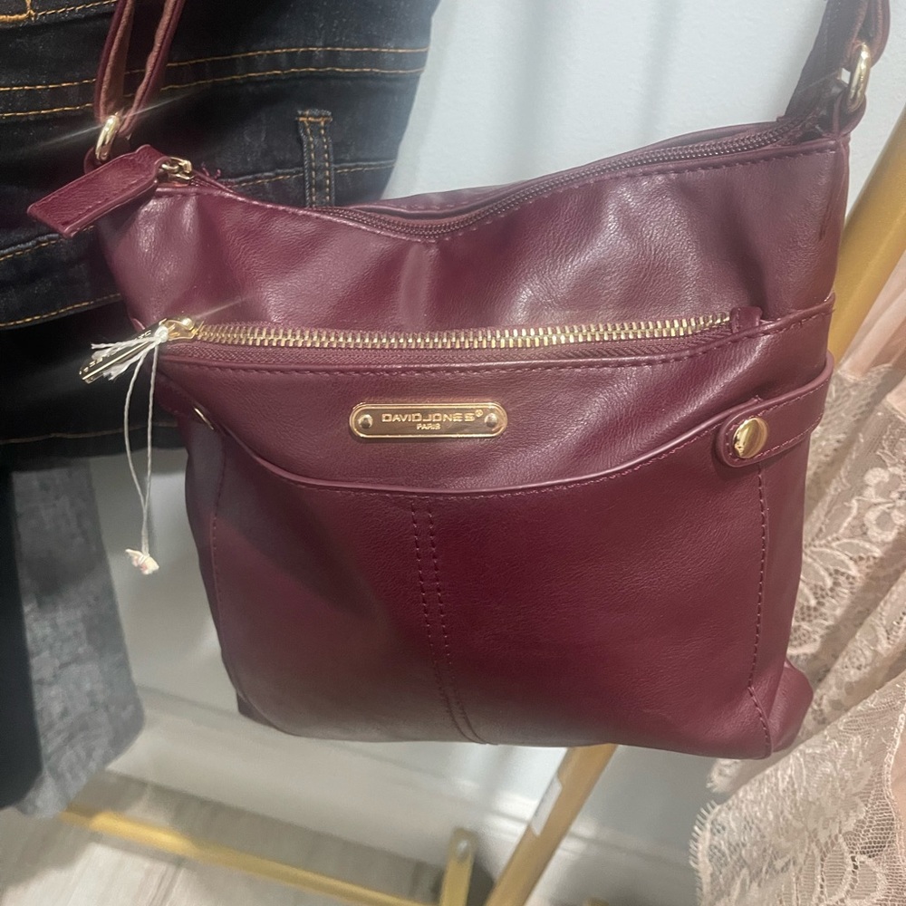 David Jones Paris purse